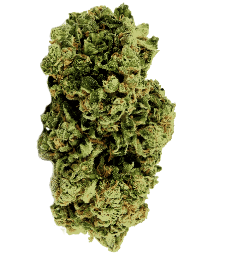 CBD-1.png
