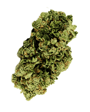LemonHaze-5.png