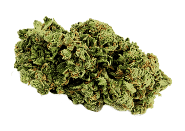 LemonHaze-6.png