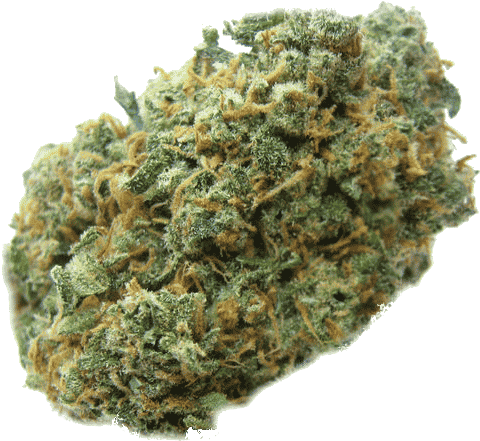 SeekPng.com_weed-png_106871.png