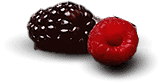 berries.png