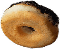 donut3.png