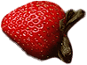 strawberry1.png