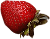 strawberry2.png