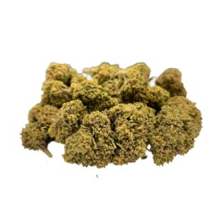 Orange Bud