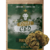 Pineapple - CBN