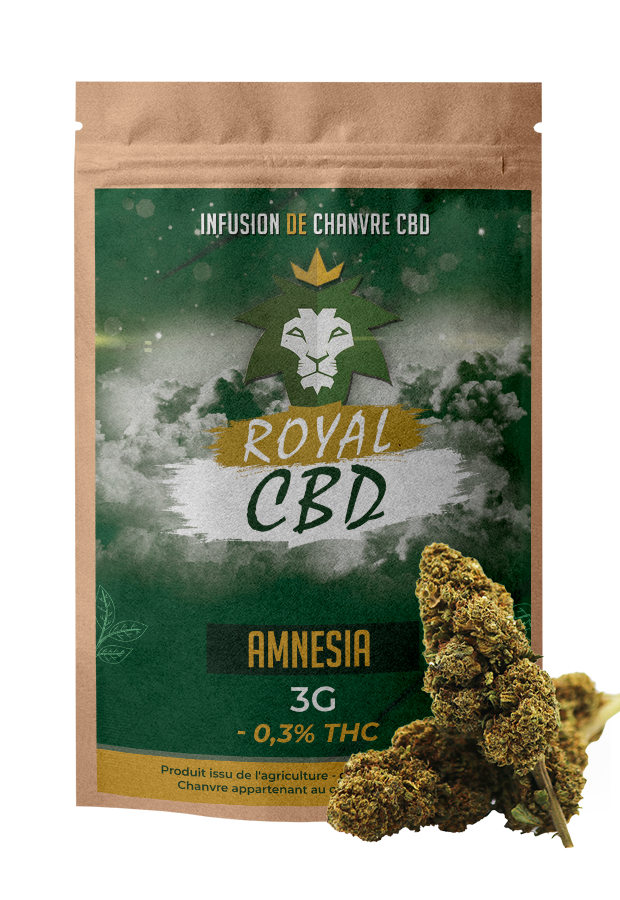 Amnesia Greenhouse - THX+